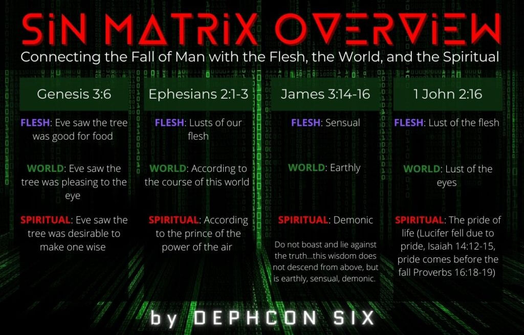 overview of the sin matrix